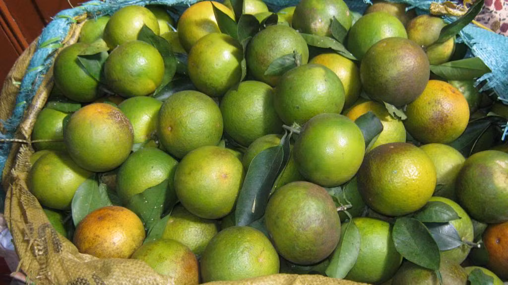 Hương Khê hiện có 1.857 ha cam, tập trung nhiều ở các xã Lộc Yên, Hương Trà, Hương Thủy… Đặc biệt, Hương Đô được ví như “thủ phủ cam” bởi đặc sản cam Khe Mây thơm ngon nức tiếng. Cam Khe Mây đã tồn tại hàng chục năm trời, song lại chưa có thương hiệu riêng nên còn nhiều khó khăn trong tiêu thụ. Trước sự hỗn loạn của thị trường, cam Khe Mây hiện đang bị giả mạo rất nhiều. Nhiều quán cóc ven đường ở Hà Tĩnh bày bán nhiều loại cam và khi khách hàng hỏi mua đều được người bán giới thiệu là cam Khe Mây. Tuy vậy, chất lượng quả không đảm bảo nên vô tình để lại ấn tượng không tốt với loài đặc sản này. Đó cũng là lý do mà nhiều người đánh giá oan rằng "cam Khe Mây cũng chỉ thường thôi”…