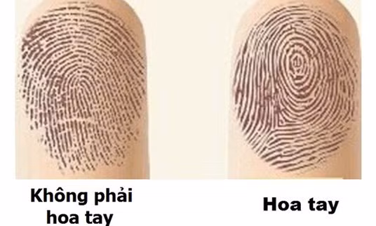 Ban co bao nhieu hoa tay, biet ngay “dinh menh” cua minh