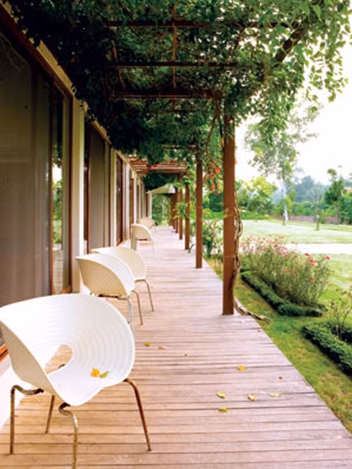 Hàng hiên trước nhà duyên dáng với dàn hoa leo đẹp như trên tạp chí.