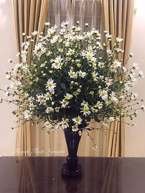 Bà mẹ trẻ mê cắm hoa cho biết cắm cúc hoạ mi nên cắm kiểu tròn đầy. Nếu cắm thưa quá thì nhìn bên ngoài ổn nhưng lúc lên hình lại khó đẹp.