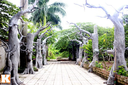 Lối ra vườn được trồng hàng cây gỗ hai bên tạo bóng mát.