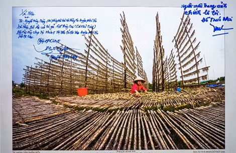 Bức ảnh của bà Mai đã được xác minh làm rõ, không gian dối, không vi phạm thể lệ cuộc thi.