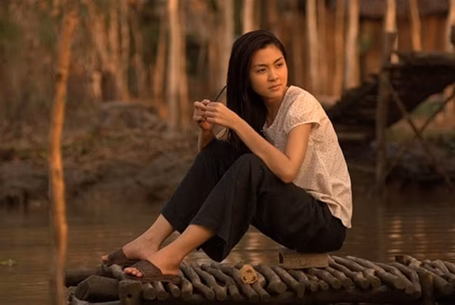 Chim noi phan “gai mien tay” tren man anh Viet-Hinh-9