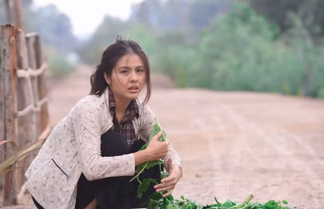 Chim noi phan “gai mien tay” tren man anh Viet