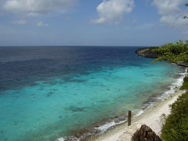 Bonaire là nơi trú ngụ của một trong bốn khu vực làm tổ của chim cánh cụt Caribbean.