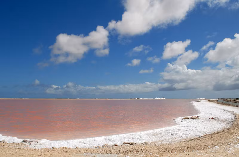 Bonaire có nhiều nhà hàng với tất cả các loại thực đơn vô cùng phong phú, từ súp, món xào, hải sản…