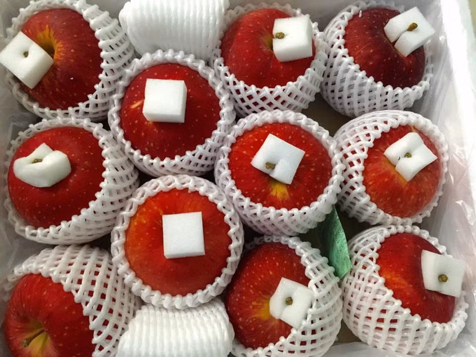 Tao Nhat khong lo: Cua hiem moi qua nang 1 kg-Hinh-2