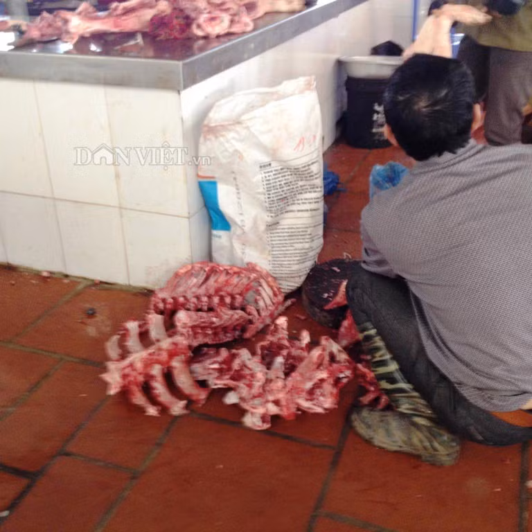 Ngày 7/4, chúng tôi ghé qua khu bán thịt của chợ đầu mối Đông Hương (TP.Thanh Hóa). Không khó để thấy những hình ảnh các loại thịt động vật được bày bán tràn lan. Thực phẩm bẩn như mỡ phần, xương lợn, xương bò… chuẩn bị đưa đến các nhà hàng, quán ăn được người bán bỏ lăn lóc dưới nền hôi tanh, ruồi nhặng.