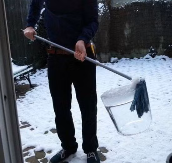 Cây lau nhà để quên ngoài trời một đêm và đây là hậu quả.