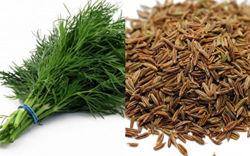 Hạt cây thì là giúp trung hoà mùi hôi khó chịu từ miệng. Hạt thì là giúp tăng cường tiết nước bọt, hạn chế vi khuẩn có hại. Dầu từ hạt cây thì là cũng có tính chất kháng khuẩn.