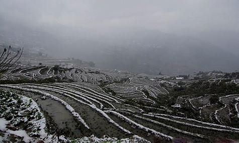 Tuyết phủ trắng những thửa ruộng bậc thang tạo nên khung cảnh thật khác lạ.