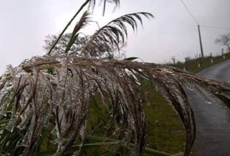 Ngay cả những cành lau cũng thôi phất phơ trước gió.