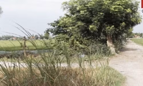 Bat ke cuop cua hiep dam U70 giua canh dong