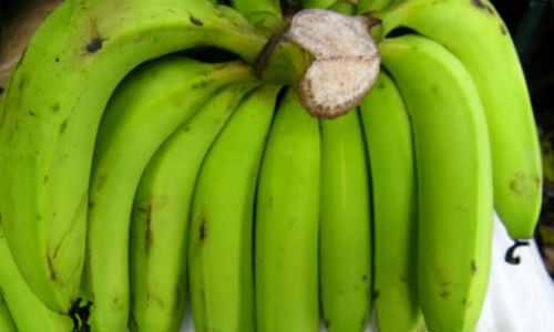 Chua dau da day hieu nghiem bang chuoi tieu xanh