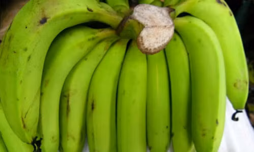 Chua dau da day hieu nghiem bang chuoi tieu xanh