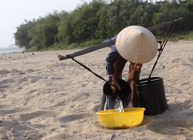 Tùy vào điều kiện lao động của từng hộ mà số ô gieo trồng của từng gia đình khác nhau. Nhà ít người thì làm 10 ô, nhiều lao động thì 20-30 ô. Thời gian từ khi ủ đến khi thu hoạch từ 4-5 ngày, với số lượng đậu xanh gieo, ủ khoảng 1kg/ô thì thu hoạch được 6-8kg giá đỗ.