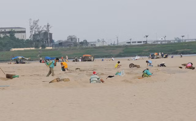 Một góc cánh đồng giá ở xã Tịnh Hà.