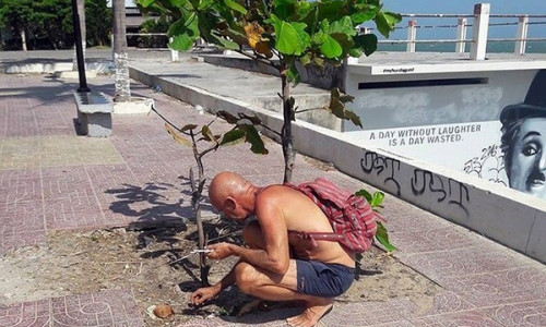 Vị khách Tây nhặt rác giữa trời nắng chang chang.