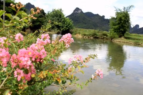 Noi trau bo co le hoi nghi duong rieng hang nam