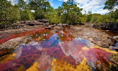 Sông Cano Cristales, Serrania de la Macarena, Colombia: Màu đỏ đậm, màu xanh lục pha với màu huyết dụ của lá cây, màu xanh lam của bầu trời, màu nâu của cát và nước, tất cả tạo thành một khung cảnh không thể nào quên.