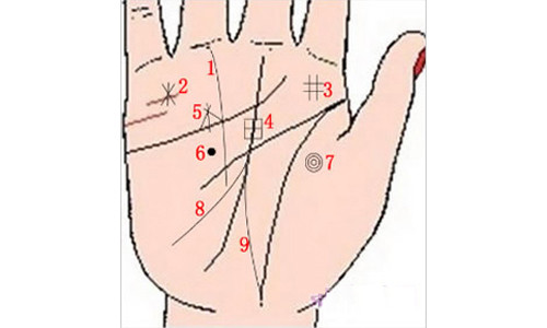 Giai ma 9 duong van tay nhieu tien lam cua