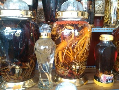 Dù đã có nhiều cảnh báo nhưng lắm dân chơi vẫn tự đẩy mình vào cảnh hiểm nguy khi nhầm lẫn củ thương lục và sâm quý.