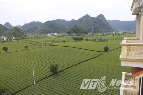 Tàng dự định xây tòa nhà thành khách sạn sang nhất Tây Bắc. Cả tòa nhà có 35 phòng, tất cả đều có ban công với "view" cực đẹp.