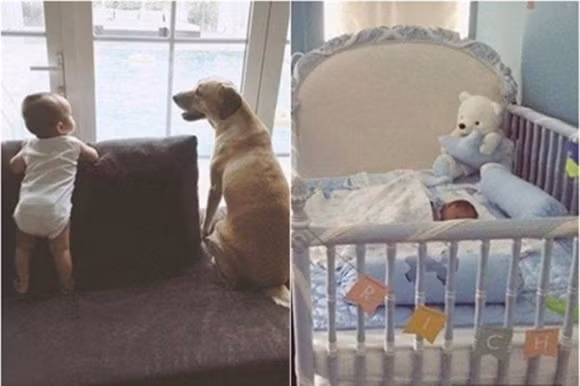 Ngay từ nhỏ, cậu bé đã được bảo bọc an toàn khỏi truyền thông. Bên cạnh đó, việc Hà Tăng bắt đầu tập dần cho Richard cuộc sống thoải mái ngay từ nhỏ bằng việc đưa bé đi đến rất nhiều nơi. Khối tài sản kếch xù mà bất cứ ai cũng có thể nhìn thấy được cũng đủ khiến cho cuộc sống của Richard trở nên đáng ganh tị.