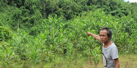 Phat hai chuyen hanh hinh nhung cap doi “an com truoc keng”