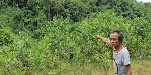 Phat hai chuyen hanh hinh nhung cap doi “an com truoc keng”