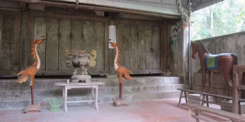 Tuc tho “than ran cut duoi” va chuyen cau mua ky la