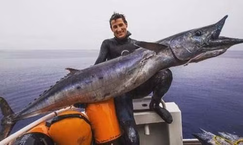 Bắt được “quái vật” cá thu ngàng khổng lồ Bat duoc “quai vat” ca thu ngang khong lo