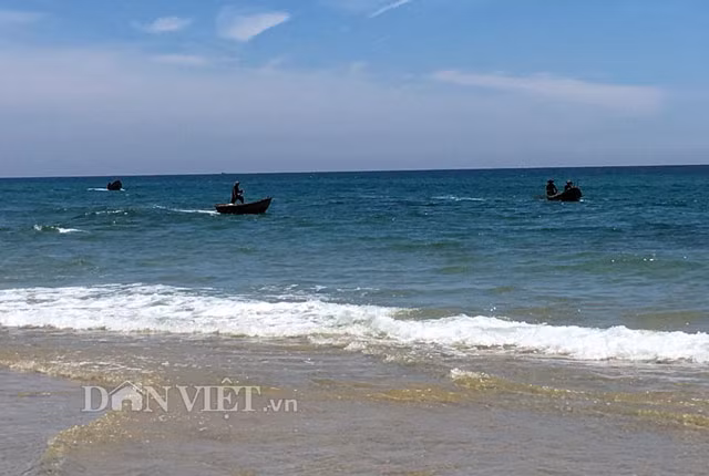 Những ngày này cũng là thời gian cao điểm vụ thu hoạch ốc lông của người dân ở nhiều vùng ven biển Quảng Ngãi, thuộc các huyện Mộ Đức, Đức Phổ, Bình Sơn.... Theo đó cứ vào sáng sớm, ngư dân lại í ới gọi nhau mang kính lặn, vợt rồi chèo thuyền hay đi ghe máy ra khu vực gành, rạn đá ngầm, san hô... ở gần bờ để lặn bắt ốc lông.