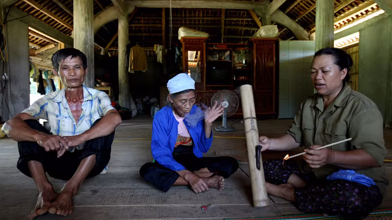 Mọi người trong gia đình chị Ngưu đều nghiện thuốc lào. Cụ Bùi Thị Ngư, mẹ chị Ngưu đã 85 tuổi, nghiện thuốc từ tuổi 20, đến nay hàng ngày vẫn đều đặn "ăn" trên dưới chục bi. Chị Ngưu cho biết mỗi tháng nhà chị tiêu thụ chừng 2 đến 3 lạng thuốc lào. Một lạng thuốc lào có giá 20 ngàn đồng.