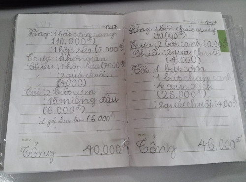 Điều khiến người xem cười nghiêng ngả đó là sự thật thà của cậu bé ở những dòng chữ "Sáng không ăn thì bữa sáng trị giá 0 ngàn đồng". Quan sát cuốn nhật ký chi tiêu của cậu bé có thể thấy, dù còn nhỏ tuổi nhưng bé rất biết cách tiết kiệm, ngày ăn ít nhất là 34 ngàn đồng và nhiều nhất là 106 ngàn.