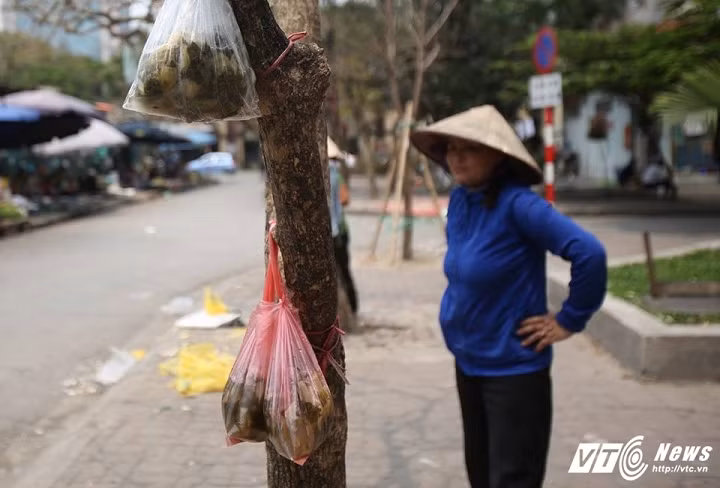 Người bán dưa muối treo hàng lên cây chờ khách dưới chân tòa nhà khu đô thị Yên Hòa-Nhân Chính (Cầu Giấy, Hà Nội). (Ảnh: Tùng Lâm)