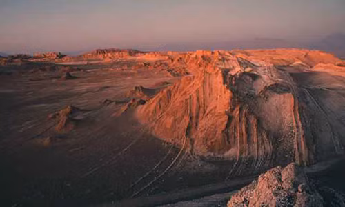 Ki dieu loai nam co kha nang chong phong xa hat nhan