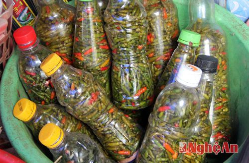 "Ớt mọi" (loại quả bằng đầu đũa) là sản vật của đồng bào Mông, có vị cay đậm, hương nồng, dùng làm gia vị và rất thích hợp trong những ngày đông giá rét.