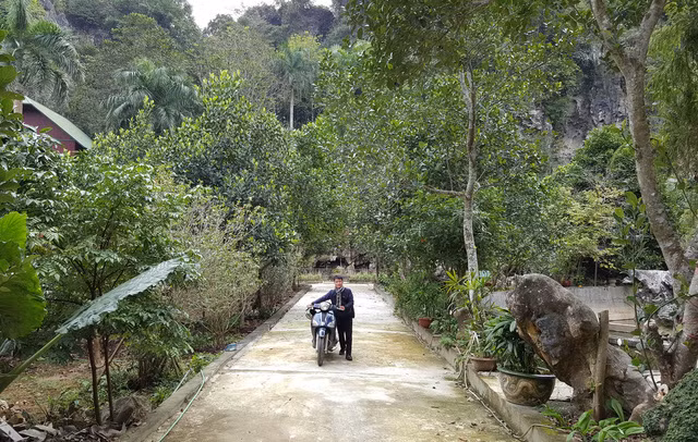 Bo ban ghe tu goc cay Gu huong 3.500 nam tuoi