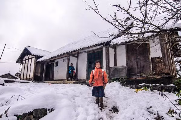 Mua dong o mien Bac se bien mat sau vai nam nua-Hinh-3