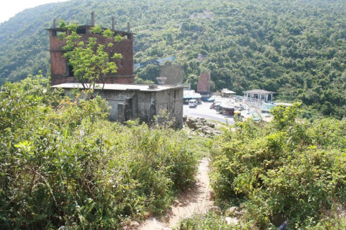 Cỏ cây mọc um tùm che lấp lối đi còn rất nhỏ.