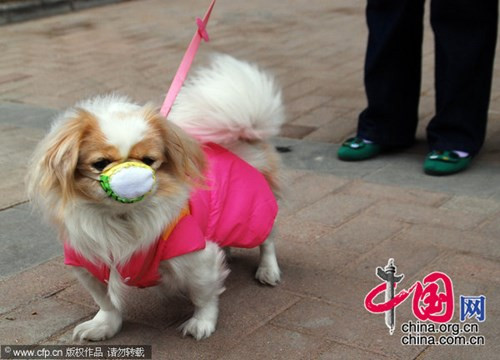 "Bao giờ cho hết ô nhiễm đây?"