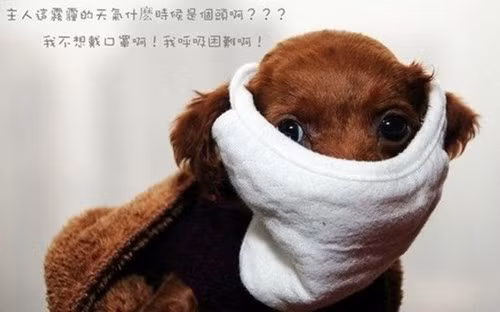 Muộn vàn kiểu dáng của chiếc khẩu trang được tung ra thị trường.