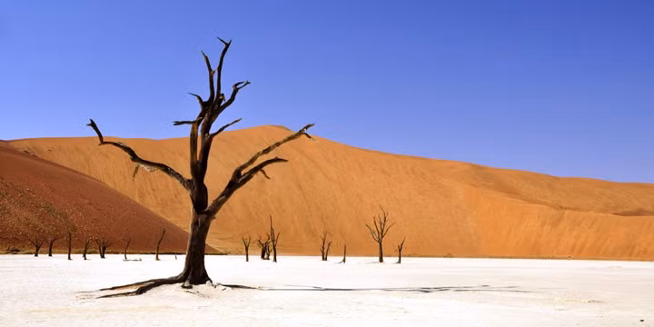 Deadvlei ở Namibia được ví như một “nghĩa địa cây khô” bởi những thân cây chết khô màu đen trên sa mạc tạo nên một cảnh quan thiên nhiên khác lạ và độc đáo.