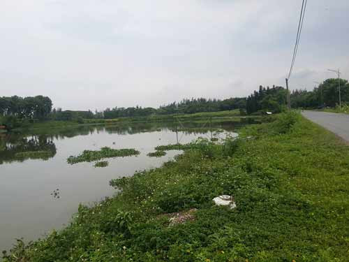 Sông Thiếp, nơi người dân bắt được cá sấu khủng.