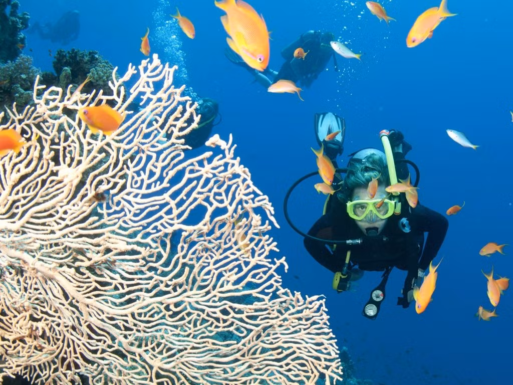 Lặn biển và lặn bình khí là các hoạt động du lịch phổ biến nhất. Rạn san hô đã chịu một số tác động do biến đổi khí hậu, nhưng vẫn còn độ đa dạng sinh học ấn tượng, phần lớn nằm dưới mặt nước.