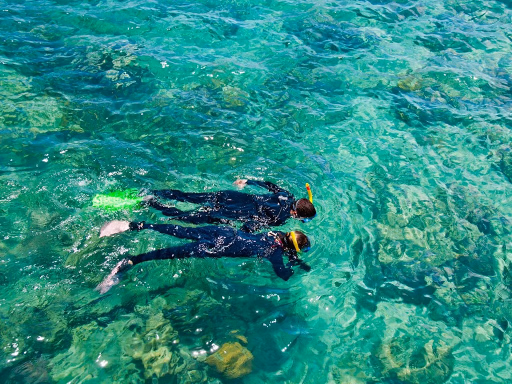 Một trong những điều khiến Great Barrier được US News và World Report bình chọn là điểm đến số 1 thế giới là danh sách hoạt động dài vô tận dành cho du khách tại khu vực này.