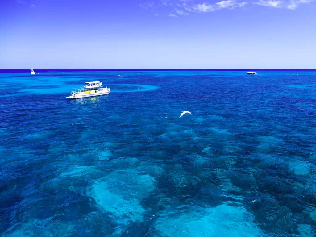 Những người không biết bơi có thể chiêm ngưỡng kỳ quan thiên nhiên tuyệt diệu này từ các thuyền đáy kính.