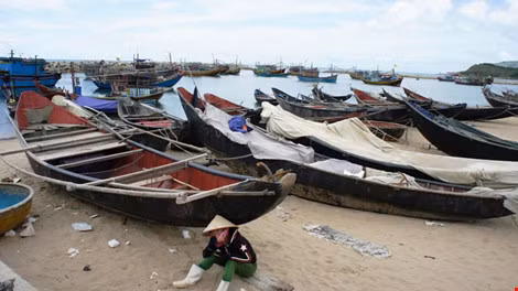 Nhiều tàu, thuyền đánh bắt cá của ngư dân Kỳ Anh (Hà Tĩnh) đang phải nằm bờ. Ảnh: ĐẮC LAM