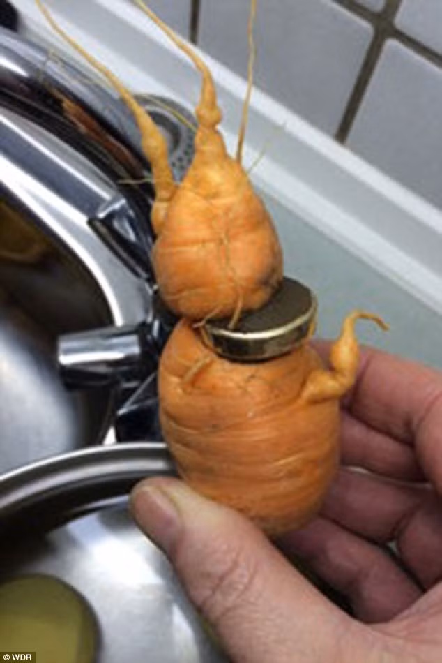 Mat nhan vang 3 nam sau duoc cu ca rot mang tra